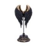 Dark Angel 26cm