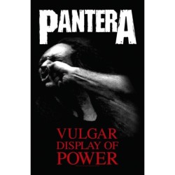 PANTERA - VULGAR DISPLAY OF...