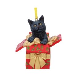 Present Cat Hanging...