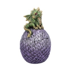Dragonling Perch Box...