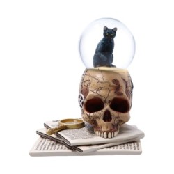 Spirits of Salem Snow Globe...
