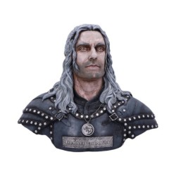 The Witcher Geralt of Rivia...