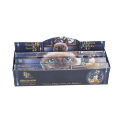 Success Incense Sticks...