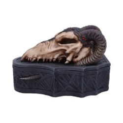 Dragon Skull Box (Monte...