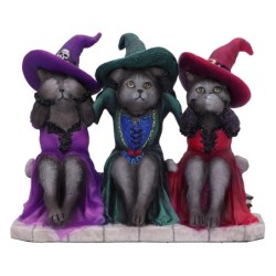 Three Wise Witchy Kittys...