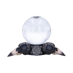 Future of the Raven Crystal...
