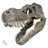 Tyrannosaurus Rex Skull Large 51.5cm B/strap