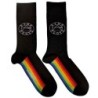 Pink Floyd Unisex Ankle Socks: Spectrum Sole (UK Size 7 - 11)