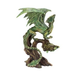 Adult Forest Dragon (AS)...