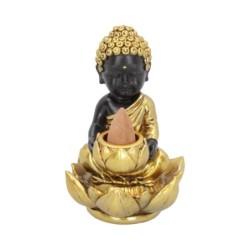 Baby Buddha Backflow...