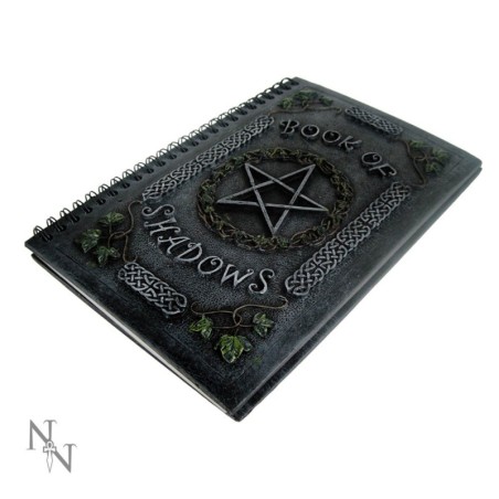 Ivy Book Of Shadows (22cm)